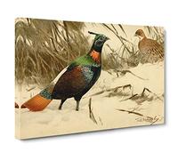 W Kuhnert Himalayan Monal Pheasant Vintage Canvas Wall Art Print Ready to Hang, Framed Picture for Living Room Bedroom Home Office Décor, 24x16 Inch (60x40 cm)