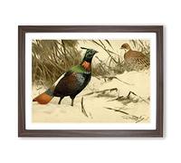 W Kuhnert Himalayan Monal Pheasant Vintage Framed Print | A4 Walnut Framed Wall Art | Ready to Hang | Classic Nature Picture | Living Room Bedroom Lounge Office