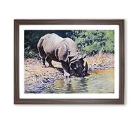 W Kuhnert Indian Rhinoceros Vintage Framed Print | A2 Walnut Framed Wall Art | Ready to Hang | Classic Nature Picture | Living Room Bedroom Lounge Office