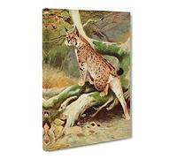 W Kuhnert Lynx Canvas Print | Gallery Wrapped 30mm Frame Wall Art | 24x16 inches | Ready to Hang | Retro Picture | Living Room Bedroom Lounge Office