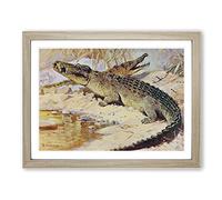 W Kuhnert Nile Crocodile Vintage Framed Wall Art Print, Ready to Hang Picture for Living Room Bedroom Home Office Décor, Oak A3 (46 x 34 cm)