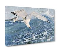 W Kuhnert Silver Gull Canvas Print | Gallery Wrapped 30mm Frame Wall Art | 20x14 inches | Ready to Hang | Retro Picture | Living Room Bedroom Lounge Office