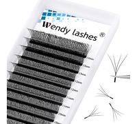 W Lash Extensions 4D Premade Fans Volume Lashes Mix8-14 0.07mm D Curl W-Shaped Lashes Refine the Roots of the Lashes and Extend 3 Tips Eyelash Extensions(4DW-0.07-D-814)