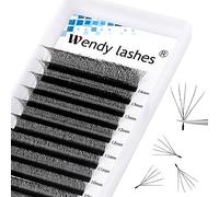 W Lash Extensions 5D Premade Fans Volume Lashes Mix8-14 0.07mm C Curl W-Shaped Lashes Refine the Roots of the Lashes and Extend 3 Tips Eyelash Extensions(5DW-0.07-C-814)