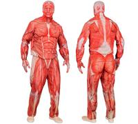 W WIDMANN MILANO Party Fashion 46691 Anatomy Fast Costume Set, red, S