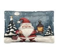 Waassud A Gnome Holding A Lantern Thick Dog Bed Mat Non-Slip Chew-Resistant Pet Bed for Dogs Cats Soft Washable Kennel Crate Pad for Floor Sofa Car 18" x 24"