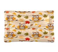 Waassud Cartoon Owls (2) Thick Dog Bed Mat Non-Slip Chew-Resistant Pet Bed for Dogs Cats Soft Washable Kennel Crate Pad for Floor Sofa Car 18" x 24"
