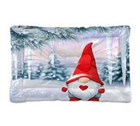 Waassud Cute Gnome Thick Dog Bed Mat Non-Slip Chew-Resistant Pet Bed for Dogs Cats Soft Washable Kennel Crate Pad for Floor Sofa Car 18" x 24"