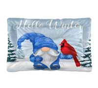 Waassud Gnome and Bird Thick Dog Bed Mat Non-Slip Chew-Resistant Pet Bed for Dogs Cats Soft Washable Kennel Crate Pad for Floor Sofa Car 36" x 24"