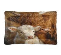 Waassud Highland Cow and Calf Thick Dog Bed Mat Non-Slip Chew-Resistant Pet Bed for Dogs Cats Soft Washable Kennel Crate Pad for Floor Sofa Car 18" x 24"