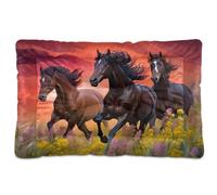 Waassud Horse Riders in The Sunset Thick Dog Bed Mat Non-Slip Chew-Resistant Pet Bed for Dogs Cats Soft Washable Kennel Crate Pad for Floor Sofa Car 18" x 24"