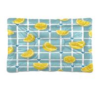 Waassud Lemons Checkered Grid Thick Dog Bed Mat Non-Slip Chew-Resistant Pet Bed for Dogs Cats Soft Washable Kennel Crate Pad for Floor Sofa Car 18" x 24"