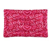 Waassud Love Sketched Thick Dog Bed Mat Non-Slip Chew-Resistant Pet Bed for Dogs Cats Soft Washable Kennel Crate Pad for Floor Sofa Car 36" x 24"