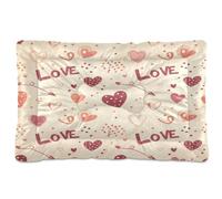 Waassud Love-theme Elements Thick Dog Bed Mat Non-Slip Chew-Resistant Pet Bed for Dogs Cats Soft Washable Kennel Crate Pad for Floor Sofa Car 36" x 24"