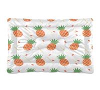 Waassud Orange Pineapples Thick Dog Bed Mat Non-Slip Chew-Resistant Pet Bed for Dogs Cats Soft Washable Kennel Crate Pad for Floor Sofa Car 18" x 24"