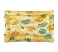 Waassud Pineapples Oranges Slice Thick Dog Bed Mat Non-Slip Chew-Resistant Pet Bed for Dogs Cats Soft Washable Kennel Crate Pad for Floor Sofa Car 36" x 24"