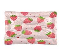 Waassud Strawberry Pattern Thick Dog Bed Mat Non-Slip Chew-Resistant Pet Bed for Dogs Cats Soft Washable Kennel Crate Pad for Floor Sofa Car 18" x 24"