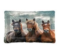 Waassud Waiting Horses Thick Dog Bed Mat Non-Slip Chew-Resistant Pet Bed for Dogs Cats Soft Washable Kennel Crate Pad for Floor Sofa Car 18" x 24"