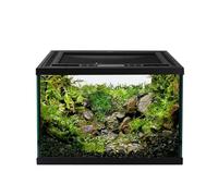 waazoorep Reptile Terrarium Tank Glass 12" x 12" x 8" Full View with Top Ventilation Amphibian Box Habitat Enclosure Cage for Frog Spider Dubia Cockroaches Beteranterinnen