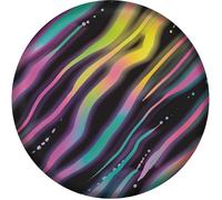Waboba Wingman Neon Tiger Flying Disc (One Size) (Multicoloured)