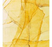 Wadada Leo Smith Amina Claudin - Central Parks Mosaic Of Reser [VINYL]