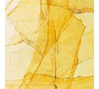 Wadada Leo Smith & Amina Claudine Myers - Central Park's mosaic of reservoir, lake, paths and gardens