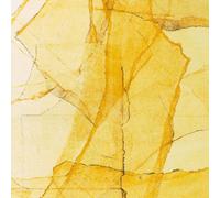 Wadada Leo Smith & Amina Claudine Myers - Central Park's mosaic of reservoir, lake, paths and gardens