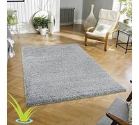 Wadan 60x110cm Silver Shaggy Rugs Living Room |5mm Thick Pile | Extra Large Small Medium | Rectangular Size | Soft Touch | Living Room Area Rugs | Non Shedding