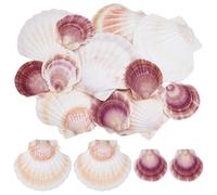 WADORN 12Pcs 2 Styles Scallop Natural Shell Seashell, 2"-5.12" Colorful Beach Natural Seashells Decor Large Scallop Shells DIY Crafts for Beaching Wedding Home Decor DIY Painting Candle Making