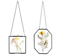 WADORN 2 Styles Pressed Flower Glass Picture Frames, Vintage Hanging Picture Frames with Chain Handmade Plant Specimen Wall Photo Ornament Display for Artwork Frame Home Wall Decor Family Photo
