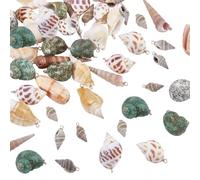 WADORN 45pcs Various Natural Shell Charms Spiral Conch Cowrie Shells Pendants with Holes for Jewelry Making Crafts DIY Necklace Key Chains Beach Summer Ocean Theme Decoration