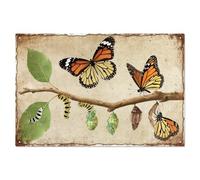 WADORN Butterfly Life Cycle Vintage Metal Tin Sign, 7.9x11.8 Inch Butterfly Metamorphosis Retro Wall Art Sign Funny Insect Nature Lesson Wall Decor Gift Plaque for Home Bedroom Yard Garden Patio