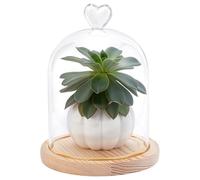 WADORN Clear Cloche Glass Dome, 7.9 x 5.6 Inch Glass Cloche Bell Jar with Heart Top Handle Display Case with Beige Wooden Base for Antique Collectibles Specimens Plants Dustproof Christmas Table Decor