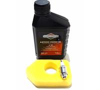 Wadoy Briggs and Stratton Lawn Mower Service Kit Suitable for the Classic and Sprint