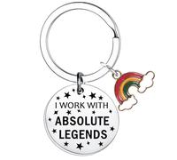 Waeceip Gifts for Colleagues I Work with Absolute Legends Keychain Funny Work Gifts Keyring for Colleagues Positive Keychain Idea