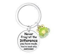 Waeceip Inspirational Keyring Positive Frog Gifts for Frog Lover Gifts Emotional Support Gift for Friend Sister Daughter Birthday Present Cute Frogs Decoration Motivational Encouragement Present