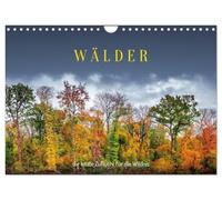 Wälder: die letzte Zuflucht für die Wildnis (Wandkalender 2026 DIN A4 quer), CALVENDO Monatskalender: Wälder der Welt