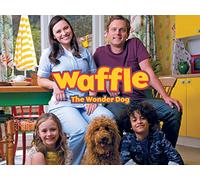 Waffle the Cat Sitter / Waffle is a Listening Dog