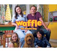 Waffle the Wonder Dog
