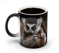 WAFICAC 11oz Coffee Mug Ceramic Color Changing Coffee Mug Sensitive Magic Monkey Lemur Cute Coffee Cup Tea Cup for Women Men