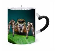 WAFICAC Wildlife Spider Changing Mug 11 Oz HeatCoffee Mug with Ear Shape Handle Designs Funny Ceramic Mugs Personalized Novelty Cups Hot Tea Cups for Men Women Gifts