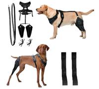 Wag Wize Knee Brace Harness for Dogs, Wagwize Dog Hip Brace, Dog Knee Brace with Adjustable Support, Metal Stabilization System, Joint Pain & Mobility Support (L)