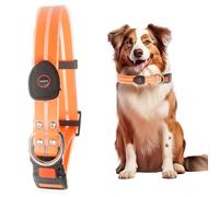 Wagably Safety Led Dog Leash for Night Walking - Glow in The Dark - Water Resistant Nylon Webbing - Lightweight and Heavy Duty - USB Rechargeable - RGB Color Changing - Suitable for All Dogs (Orange)