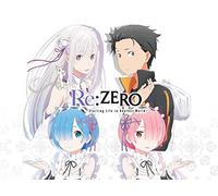 Wager That Defies Despair