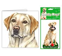 WaggyDogz Labrador Yellow Lab Dog Gift Bundle - 2 Items - Quality Greetings Card with Smelly Dogs Car Air Freshener