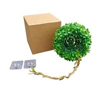WAGHAVEN Realistic Artificial Grass Ball with Shelter Cave for Reptiles Terrarium Decoration and Bird Nest Habitat Tanks Landsacpe Mosses Ball Habitat Decors