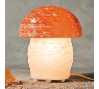 Wagner Life Mushroom salt lamp