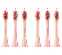 Wagner Stern. Original Replacement Toothbrush Heads for Whiten+ Edition, Duette Series and WT8800 Series toothbrushes.