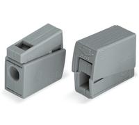 WAGO 224-101 LIGHTING CONNECTOR - 2 WAY - 100 PCS PACK - AUTHORISED SELLER