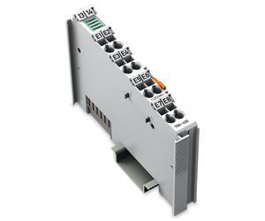 Wago Fieldbus, Decentralized Peripheral - Analog Input And Output Module - 750-430